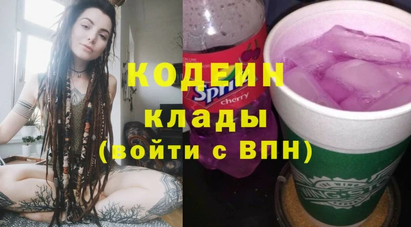 молекула духа Бронницы