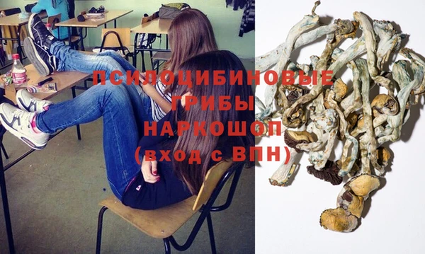 молекула духа Бронницы